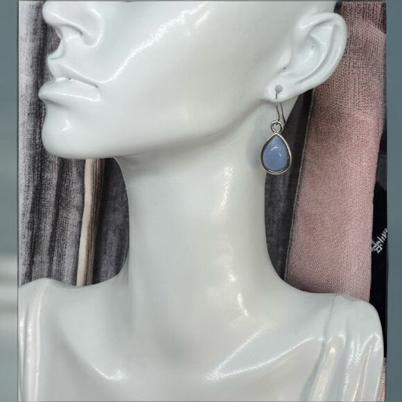 Blue Silver-Tone Drop Earrings, 1" Long, 0.5" Wide - Picture 1 of 11